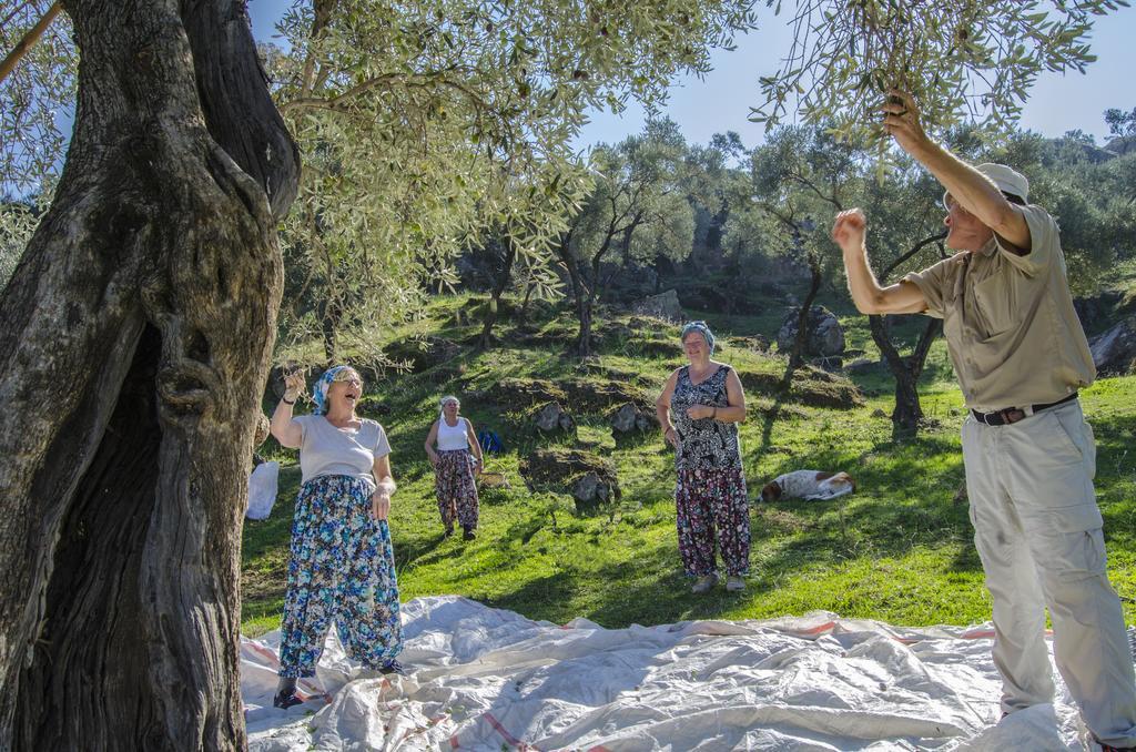Kapikiri Agora Pansiyon מראה חיצוני תמונה